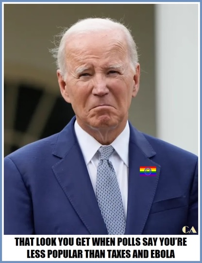 BIDEN LOOK POLLS.jpg